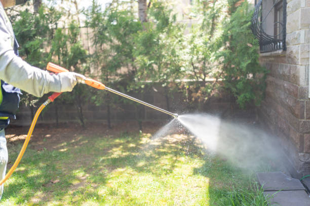 Professional Pest Control in Haines City, FL