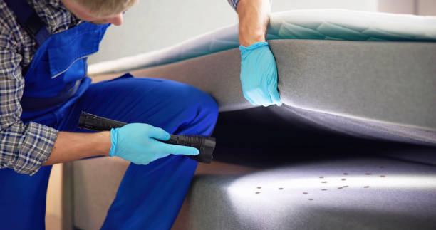 Best Pest Inspection Near Me  in Haines City, FL