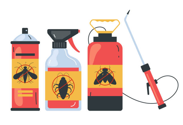 Flea Control Services in Haines City, FL