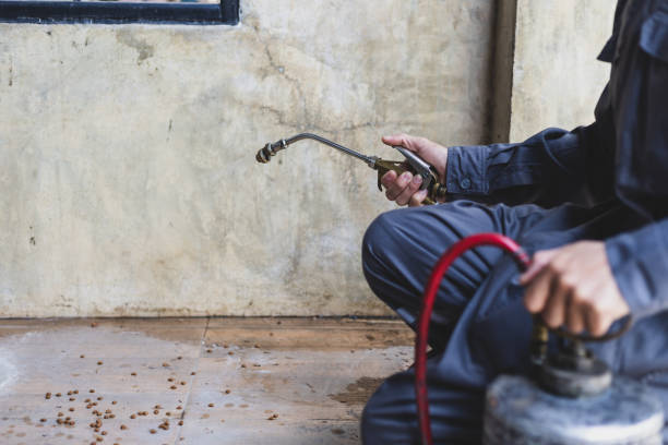 Pest Control Cost in Haines City, FL
